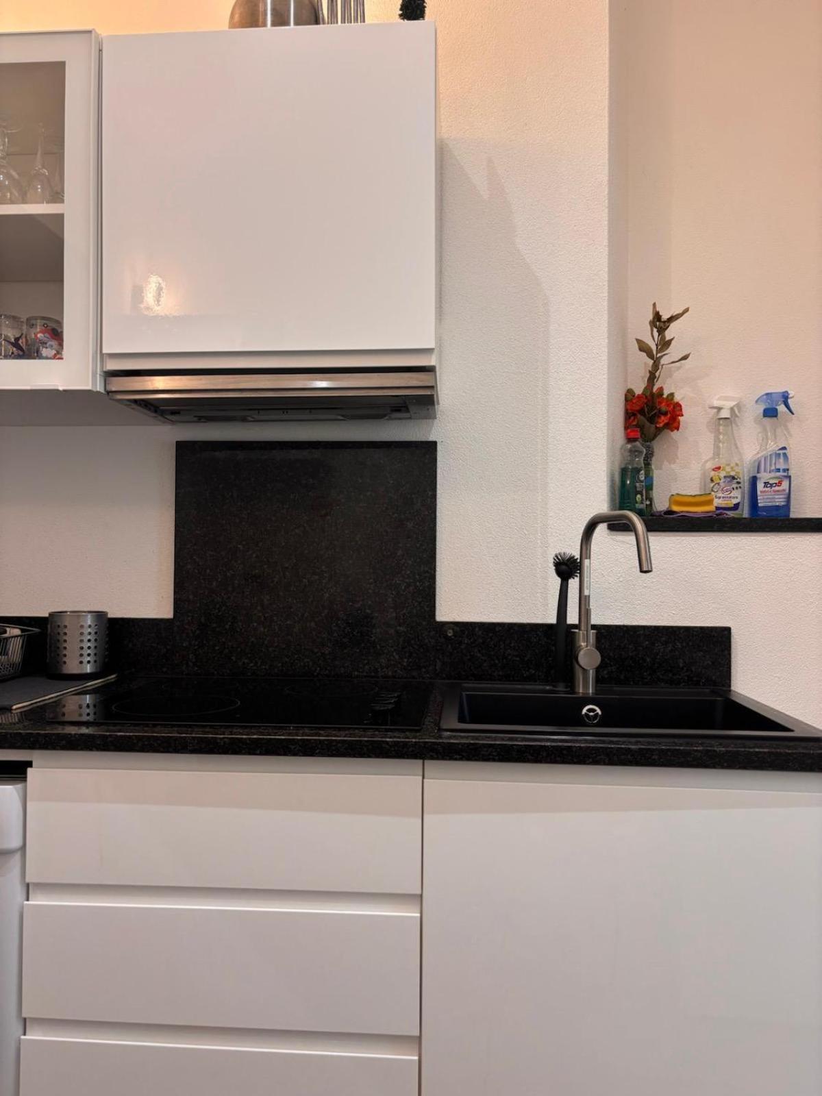 Apartment Alina Lamone Bagian luar foto